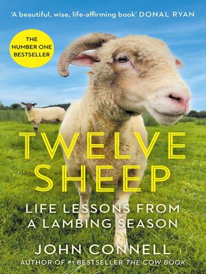 cover image of Twelve Sheep